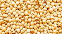 How to Cook Sorghum How to Cook Sorghum