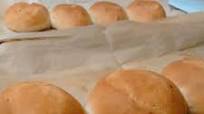 Bollilos in My Kitchen Aide Bollilos in My Kitchen Aide