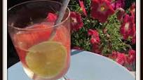Tequila Watermelon Fizz Tequila Watermelon Fizz