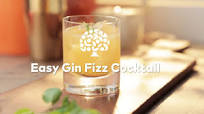 Easy Gin Fizz Cocktail Easy Gin Fizz Cocktail