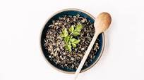 How to Cook Wild Rice How to Cook Wild Rice