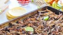 Crock Pot Pork Carnitas Crock Pot Pork Carnitas