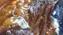 Slow Cooker Buffalo Brisket Slow Cooker Buffalo Brisket