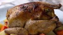 Cornish Hen Cornish Hen