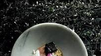Slow-Cooked Quail Breasts with Truffle Custard, Black Pudding, Pink Turnips and Milk Skin Slow-Cooked Quail Breasts with Truffle Custard, Black Pudding, Pink Turnips and Milk Skin