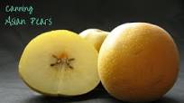 Canning Asian pears - hot pack Canning Asian pears - hot pack
