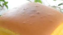 Taiwanese Castella Taiwanese Castella