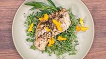 Tarragon Chicken Airfryer Recipe Tarragon Chicken Airfryer Recipe