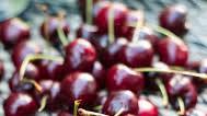 Cherry Jam Cherry Jam
