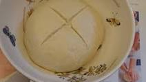 Pizza Dough Pizza Dough