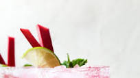 Spicy Rhubarb Margarita Cocktail with Mint Spicy Rhubarb Margarita Cocktail with Mint