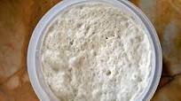 Italian Biga - Starter Recipe - (4.3/5) Italian Biga - Starter Recipe - (4.3/5)