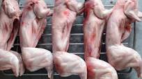 How to cook rabbit How to cook rabbit