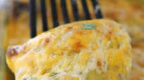 Green Chili Chicken Enchiladas Recipe Green Chili Chicken Enchiladas Recipe