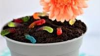 Gluten Free No Bake Dirt Cake Gluten Free No Bake Dirt Cake