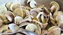 Sauté di vongole: la ricetta della pietanza saporita campana Sauté di vongole: la ricetta della pietanza saporita campana