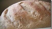 Whole Wheat Artisan Bread in 5 Minutes a Day Whole Wheat Artisan Bread in 5 Minutes a Day
