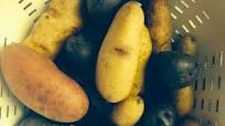Brined Baby Potatoes Brined Baby Potatoes