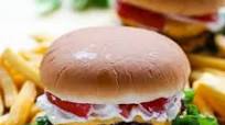 The Ultimate Homemade Burger The Ultimate Homemade Burger