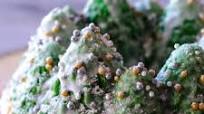 Snowy Christmas Tree Cake Snowy Christmas Tree Cake