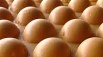 egg waffles egg waffles
