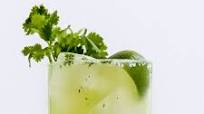 Cilantro Margarita Cilantro Margarita