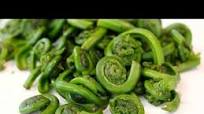 How To make Fiddlehead Muffins How To make Fiddlehead Muffins