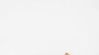 La Madeleine Copycat Strawberry Spinach Salad La Madeleine Copycat Strawberry Spinach Salad