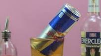 Cactus Cooler Cactus Cooler