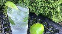 The Ultimate Gin Mojito Recipe The Ultimate Gin Mojito Recipe