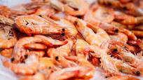 Rachael's Shrimp Stock Rachael's Shrimp Stock