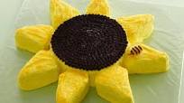 Sunflower Cake Sunflower Cake