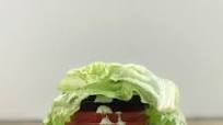 Greek Turkey Protein Burgers with Tzatziki Sauce Greek Turkey Protein Burgers with Tzatziki Sauce