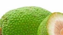 Receta de Jugo de fruto del árbol de pan Receta de Jugo de fruto del árbol de pan