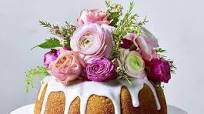Elderflower and lemon cake Elderflower and lemon cake