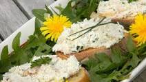 Potted Chicken Rillettes with Herbs Recipe - (3/5) Potted Chicken Rillettes with Herbs Recipe - (3/5)