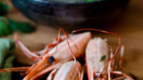 Easy to Make Prawn Stock Easy to Make Prawn Stock