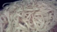 Linguine with Garlic and Oil Linguine with Garlic and Oil