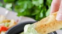 Avocado Cream Sauce Avocado Cream Sauce
