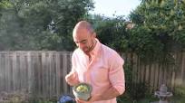 Guacamole Guacamole