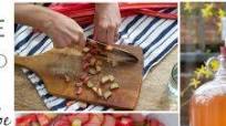 How to Make Rhubarb Wine at Home How to Make Rhubarb Wine at Home