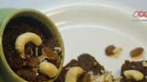 Lapsi Recipe Lapsi Recipe