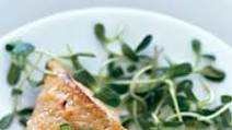 Miso-Glazed Black Cod on Sunflower Sprouts Miso-Glazed Black Cod on Sunflower Sprouts