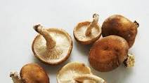 Herb-Roasted Guinea Hen with Mushrooms Herb-Roasted Guinea Hen with Mushrooms