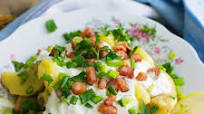 Greek Yogurt Potato Salad (With Lemon) Greek Yogurt Potato Salad (With Lemon)