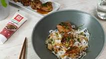 Sweet and Sticky Teriyaki Omni-Meatballs Recipe Sweet and Sticky Teriyaki Omni-Meatballs Recipe