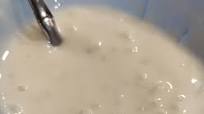 Arroz con Leche tradicional Arroz con Leche tradicional