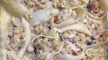 Chicken Stuffed Shells Chicken Stuffed Shells