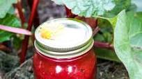 Rhubarb Jam – Rhubarb Jam Recipe Rhubarb Jam – Rhubarb Jam Recipe