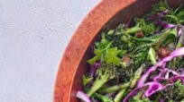 AIP Charred Broccolette & Cabbage Salad (paleo, vegan) AIP Charred Broccolette & Cabbage Salad (paleo, vegan)